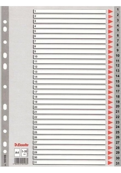Esselte Seperatör 1-31 Rakamlı Ayraç