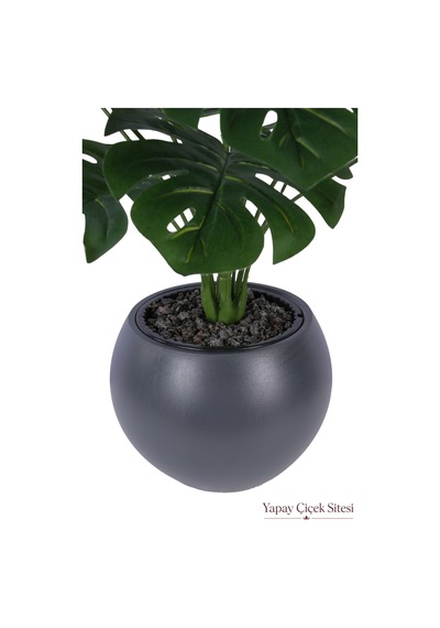 Yapay Çiçek Sitesi Antrasit Küre Saksıda Yapay Monstera Deve Tabanı Ağacı 105 Cm Yeşil