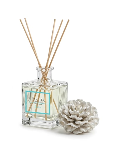 Lucille Lotus Aromalı Bambu Oda Kokusu 500 Ml Özel Kutulu