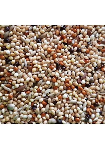 Premium Karışım Muhabbet Kuşu Yemi 5 KG