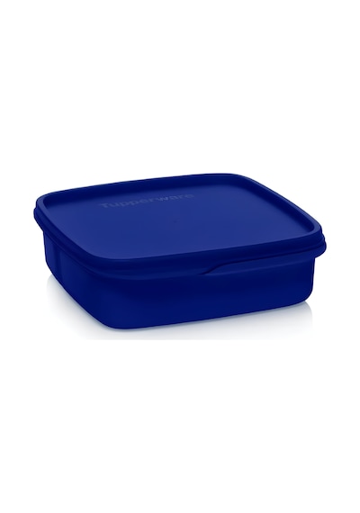 Tupperware Bölmeli Beslenme Kutusu Saklama Kabı 550ml Gece Mavisi