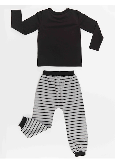 Denokids Rakun Erkek Çocuk T-shirt Pantolon Takım