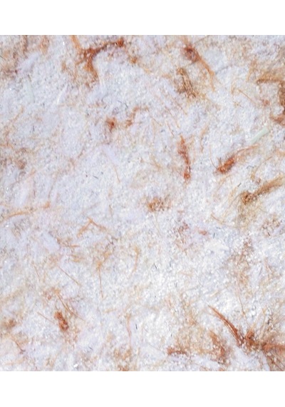 Canlı Sıva (103939600)