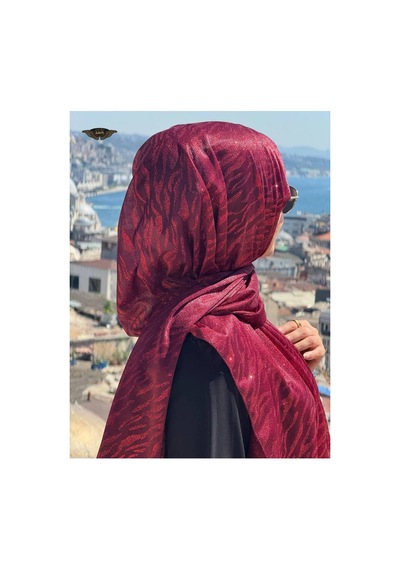 Aldaıyr Simli Şifon Şal Çok Rrenkli16
