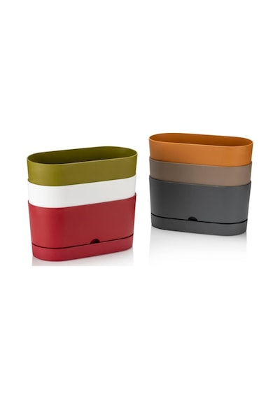 Poliwork Begonya Balkon Saksı 30 Cm 5,5 Lt