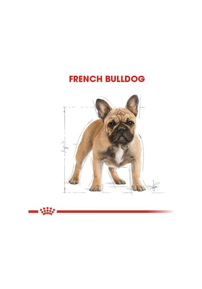 Royal Canin French Bulldog Yetişkin Köpek Maması 3 KG