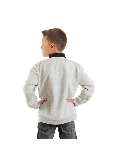 Denokids Mshb&g Kurt Erkek Çocuk Sweatshirt - Gri