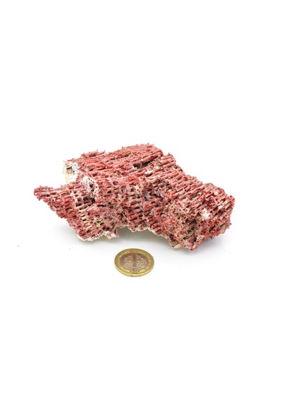Hakiki Doğal Kırmızı Mercan Kaya Parçası 96 Gram