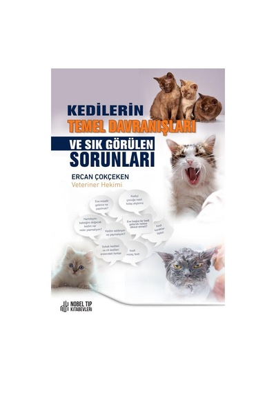 Kedilerin Temel Davranışları Ve Sık Görülen Sorunlar