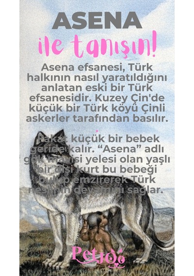 Petjoo 25.Asena Pembe-Gri Qr'lı Köpek Künyesi