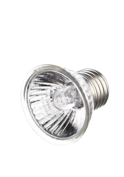 Mandallı Akrobat Lamba Tutacağı 25 W Uva/uvb Lamba Dahil Kırmızı