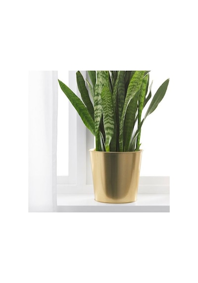 Galvanizli Çelik Gold Saksı 19 Cm Çiçek Bitki Saksısı Gold Renk 1
