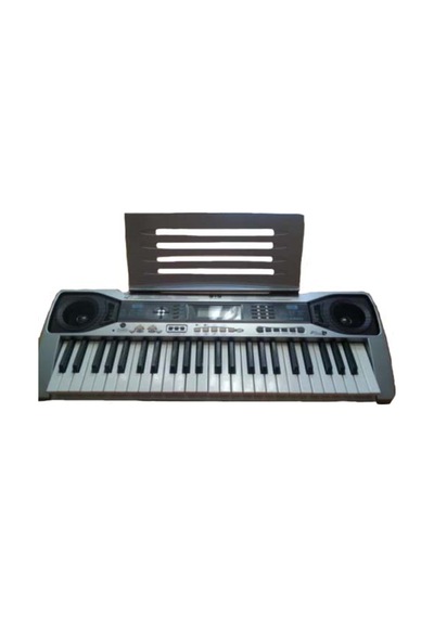Lp 49 Tuş 12 Ses 12 Ritim 22 Demo Org Lp4920