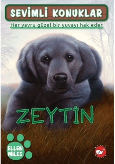 Sevimli Konuklar 3 - Zeytin - Yqbx-763826