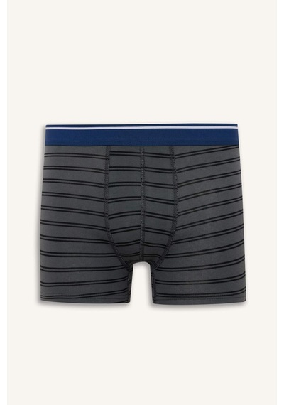 Defacto Regular Fıt Çizgili 3lü Boxer G8165ax26spbe376 Mavi-be376