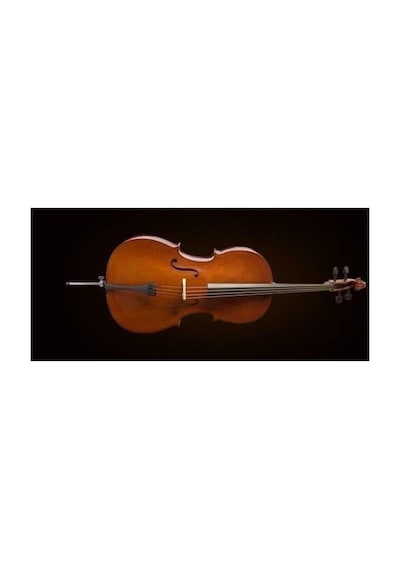 Valencia Ce160g34 Cello German Style 3/4
