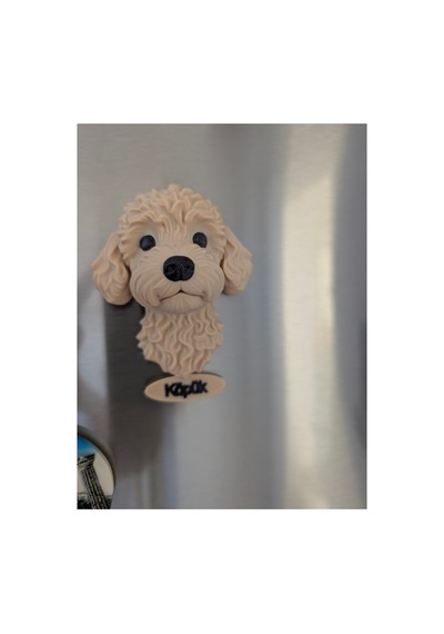 Kişiye Özel Toy Poodle Köpek Magneti Köpeğinizin İsmi Yazılı Dekoratif Buzdolabı Magneti Sevimli Köpek Figürü