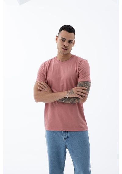Erkek Pamuklu Kumaş Regular Fit Kesim Bisiklet Yaka T-shirt