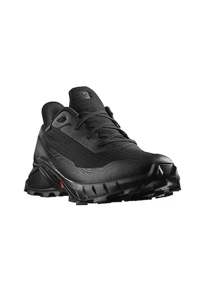 Salomon Alphacross 5 Gtx Erkek Koşu Ayakkabısı L47307500 001