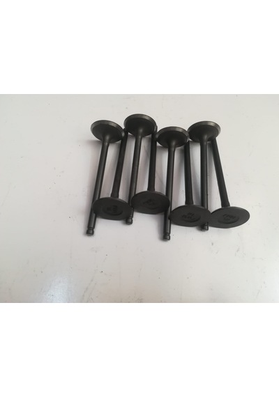 GELLY SİBOP  A-1016050778