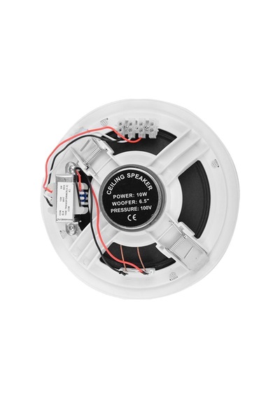Ssp Audio Cell 108 8" Geniş Bant Tavan Hoparlörü