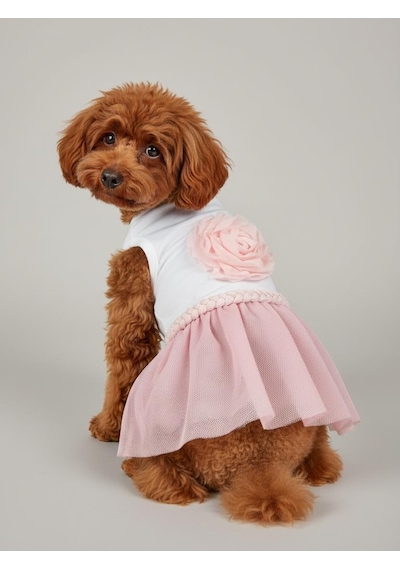 Rosie Pink Tütü Köpek Kıyafeti Pembetütülü Elbise Küçük Irk Köpekler İçin