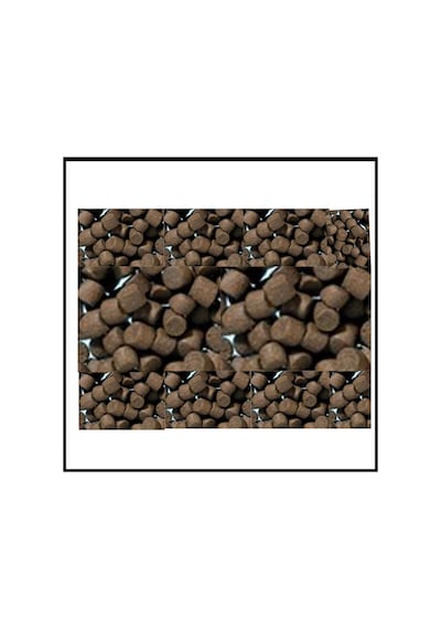 Uyguna-yakala 6mm Alabalık Yemi 1 Kg-spe.023