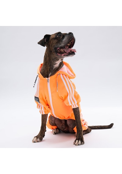 Pawstar Turuncu Tuta Orta ve Büyük Irk Köpek Tulumu Köpek Kıyafeti