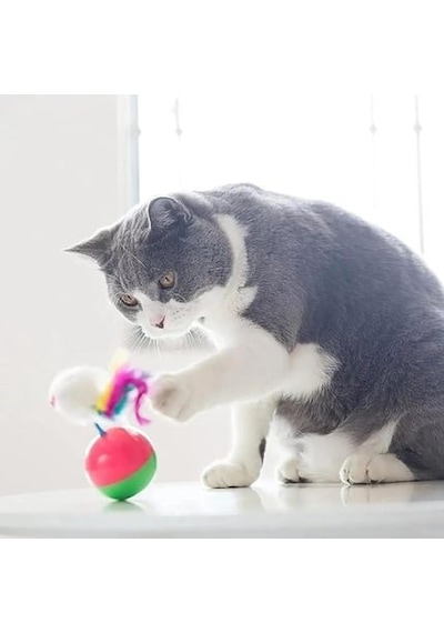 Nunbell Kedi Oyuncak Hacı Yatmaz Fare