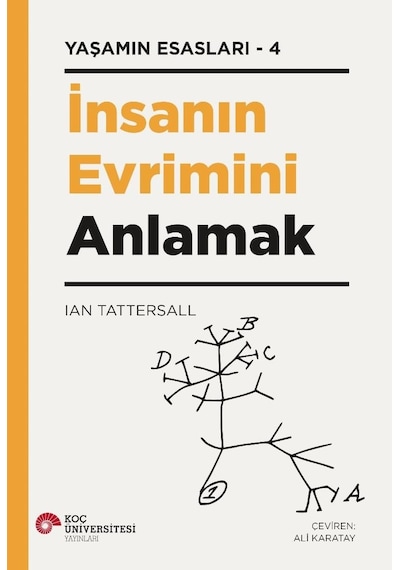 İnsanın Evrimini Anlamak