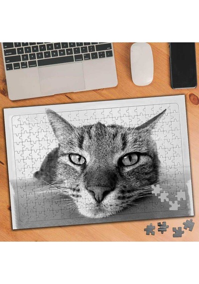 Gri Kedi Resmi Sevimli Hayvan 240 Parça Puzzle Yapboz-75443