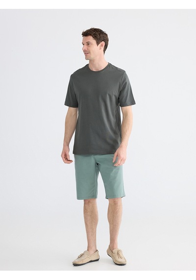 Lcwaıkıkı Classic Haki %100 Pamuk Regular Fit Basic Tişört