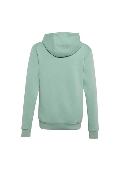 Adidas Çocuk Sweatshirt Adidas Minecraft Terrex Hoodie Kv6480 Yeşil