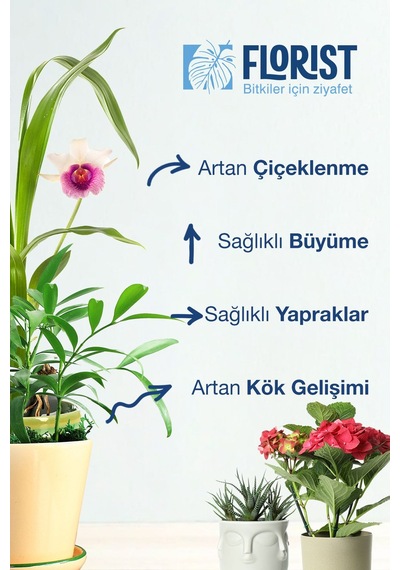 Florıst Tüm Bitkiler Genel Kullanım Sıvı Konsantre Bitki Besini 200