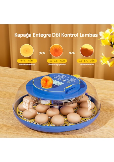 Altın Kuluçka-wonegg 18'li Tam Otomatik Kuluçka Makinesi