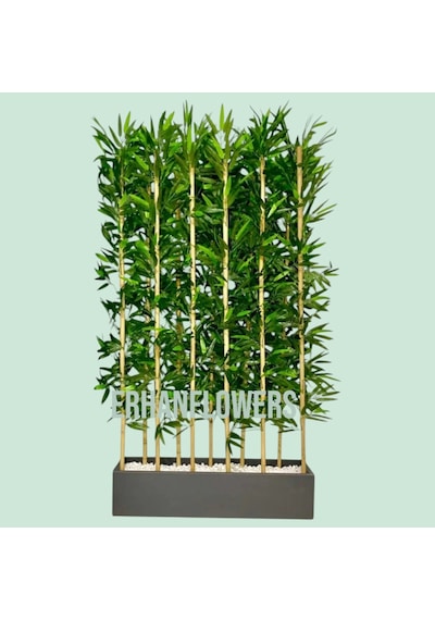 70 Cm Saksıda 11 Adet 170 Cm Bambu Speratör Yeşil