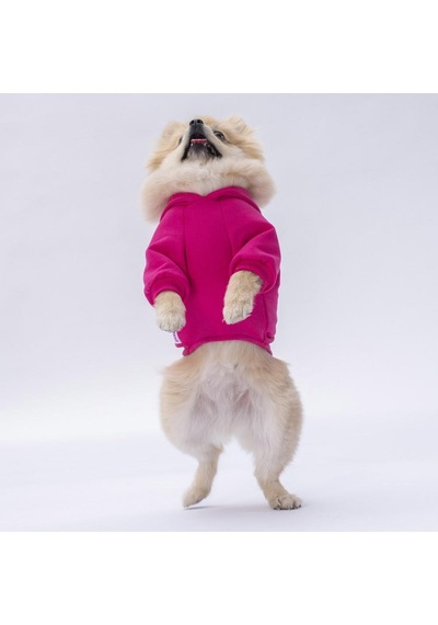 Pettrend Tavşan Kanguru Cepli Kedi-Köpek Hoodie Sweatshirt