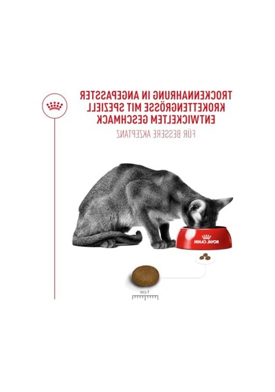 Seçici Yetişkin Kedi Maması, 4 Kg Besleyici Formül