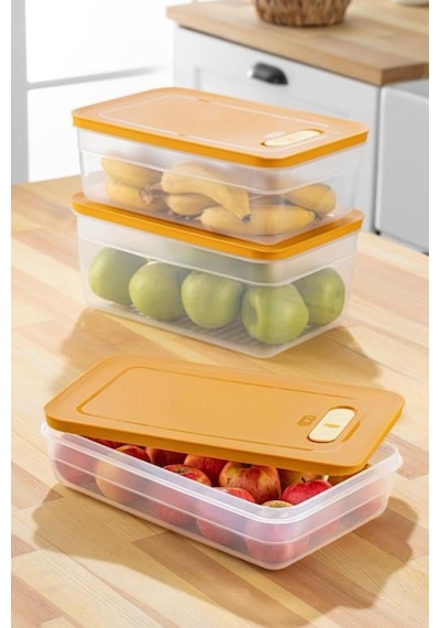 Tupper Model - Vakumlu - Mikrodaa Buzluk Saklama Kabı 3,8lt Çok Renkli