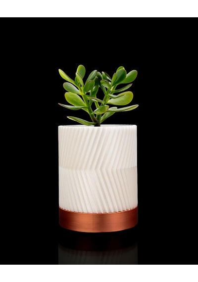 Greennest Mini Duvar Saksısı Sukulent Dekoratif Duvar Saksısı-8