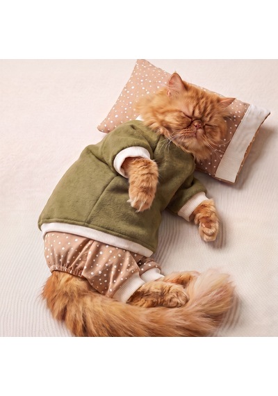 Latte & Matcha Kedi Rüyası Pamuklu Kedi Tulumu, Polar Sweatshirt Ve Mini Yastık 3 Parça