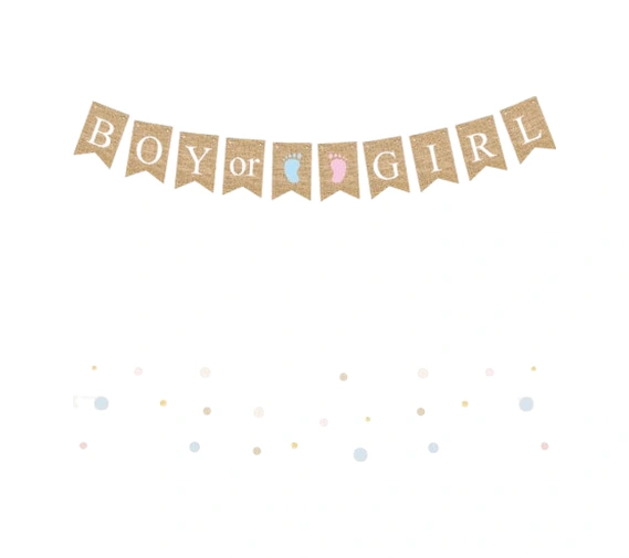 Cinsiyet Partisi Banner Jüt Görünümlü Boy Girl 10 Bayraklı 150cm Diğer