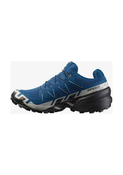 Salomon Speedcross 6 Gore-tex Renkli