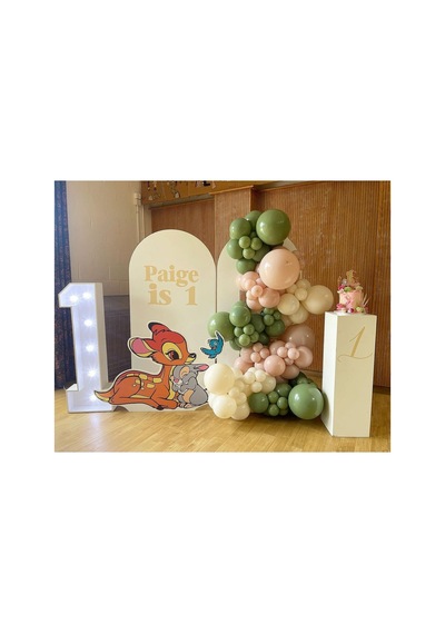 Retro Okaliptus Pink Blush Ve Retro Beyaz Balon Zinciri 100 Adet Mix