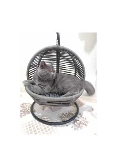 Kedi Salıncağı & Kedi Yatağı Sabitleme Aparatlı
