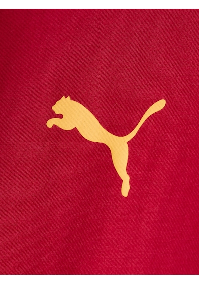 Gsstore Galatasaray Puma T-shirt 78684701 Kırmızı