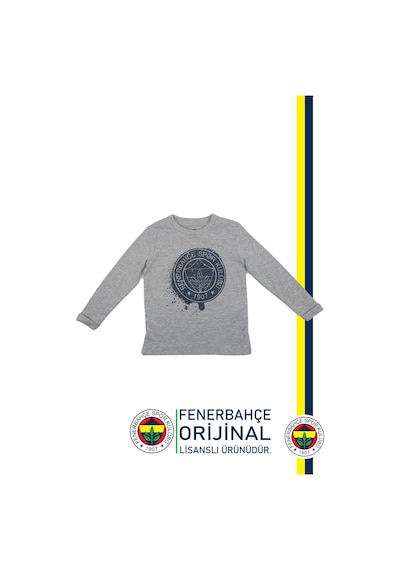 Fenerium Fenerbahçe Lisanslı Yaldızlı Fb Logo Gri Çocuk Sweat Ahşap Kutulu Gri
