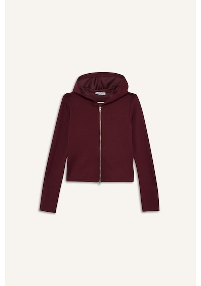 Defacto Slim Fit Dar Kesim Kapüşonlu Modal Fermuarlı Sweatshirt F7651ax25aubr115 Bordo-br115