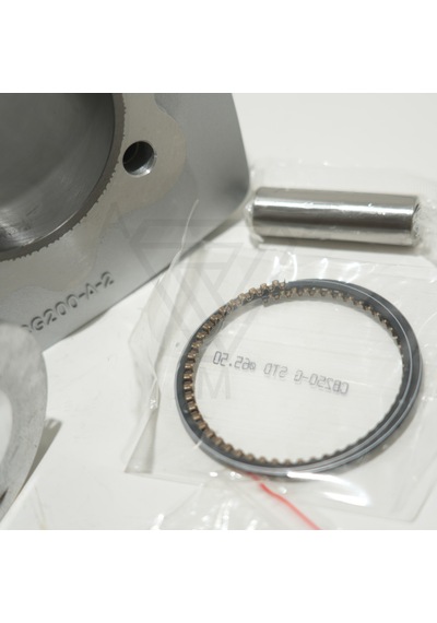 Cg 200 65.5 Mm 76 Mm 15 Pın Silindir Piston Gri 001