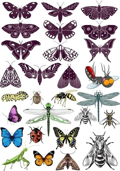 Kelebek Sticker Set-1 18 Parça Telefon, Tablet, Defter, Laptop Sticker
